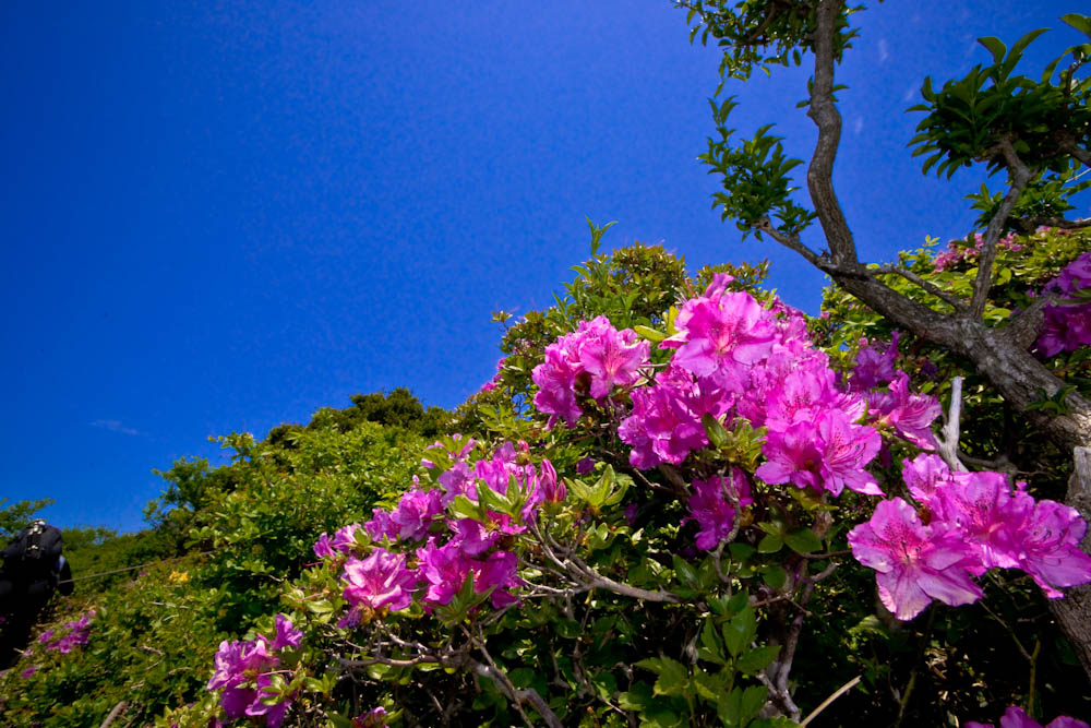 DSC04244.jpg